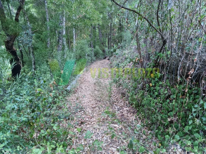 Terreno Agricola ou Rústico para Venda em Marmelete Foto 11