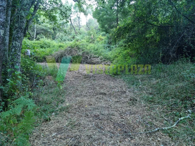 Terreno Agricola ou Rústico para Venda em Marmelete Foto 12