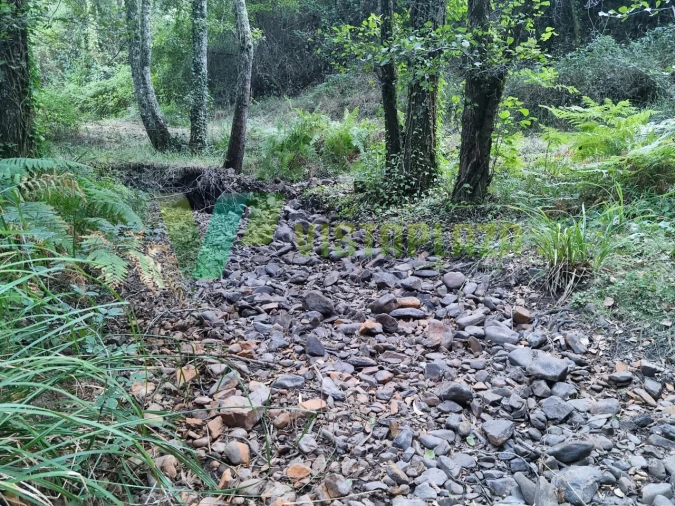 Terreno Agricola ou Rústico para Venda em Marmelete Foto 14