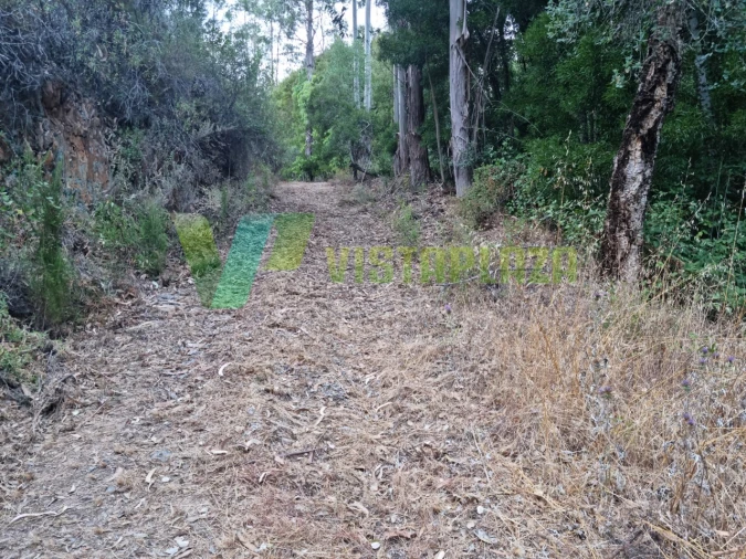 Terreno Agricola ou Rústico para Venda em Marmelete Foto 17