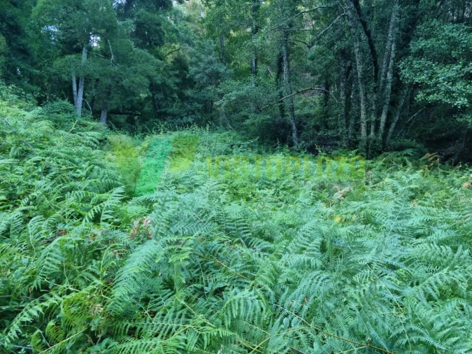 Terreno Agricola ou Rústico para Venda em Marmelete Foto 18