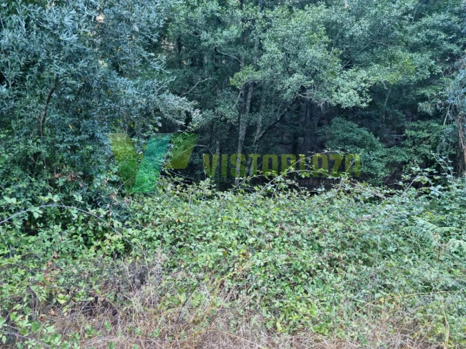 Terreno Agricola ou Rústico para Venda em Marmelete Foto 19