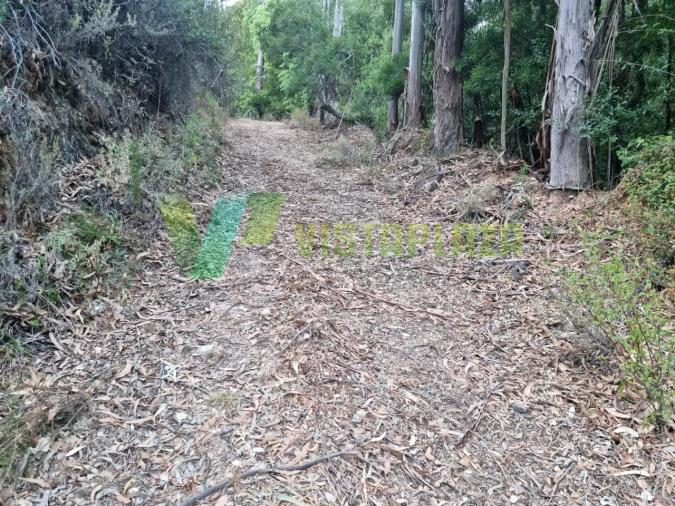 Terreno Agricola ou Rústico para Venda em Marmelete Foto 20