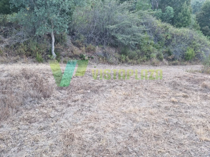 Terreno Agricola ou Rústico para Venda em Marmelete Foto 22