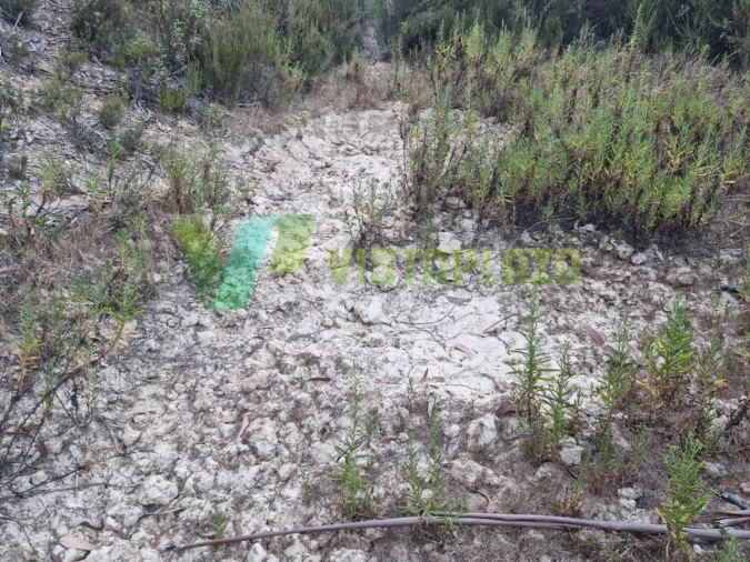 Terreno Agricola ou Rústico para Venda em Marmelete Foto 27