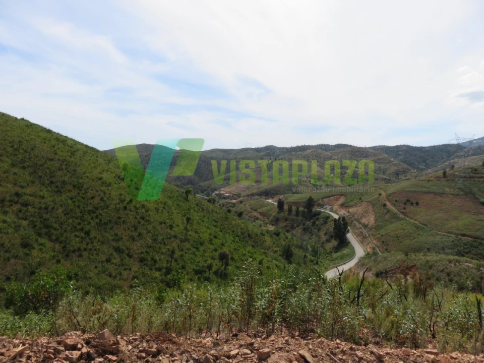 Terreno Agricola ou Rústico para Venda em Alferce Foto 11