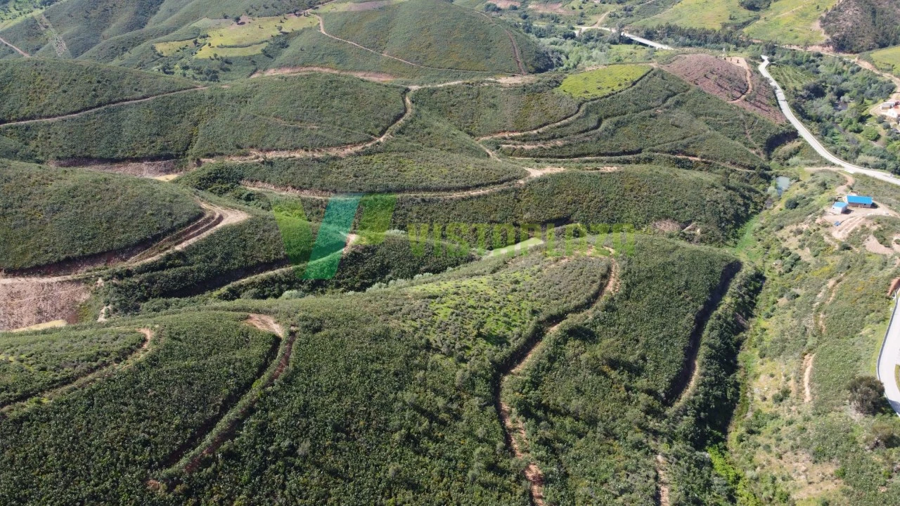 Terreno Agricola ou Rústico para Venda em Alferce Foto 18