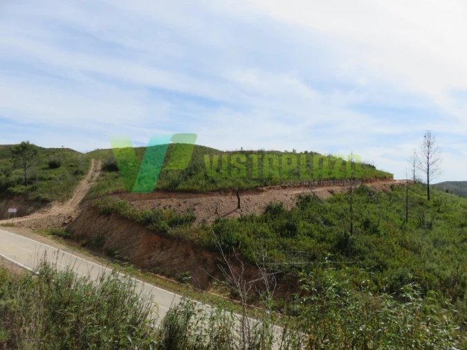 Terreno Agricola ou Rústico para Venda em Alferce Foto 8