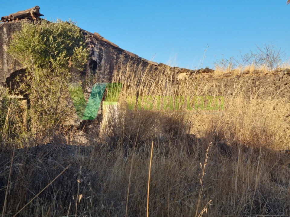 Terreno Misto para Venda em São Bartolomeu de Messines Foto 14