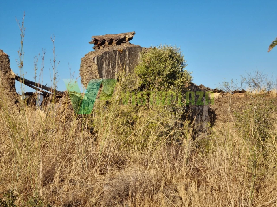 Terreno Misto para Venda em São Bartolomeu de Messines Foto 17
