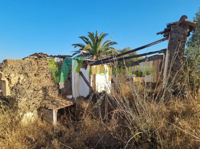 Terreno Misto para Venda em São Bartolomeu de Messines Foto 7