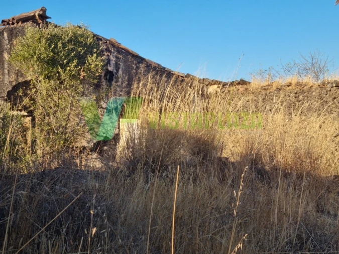 Terreno Misto para Venda em São Bartolomeu de Messines Foto 14