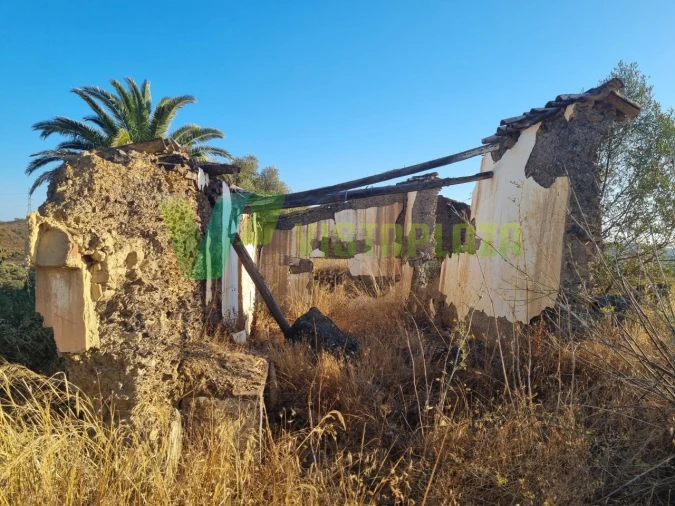 Terreno Misto para Venda em São Bartolomeu de Messines Foto 16