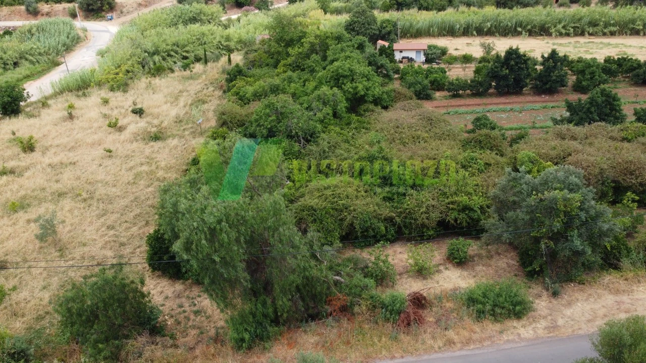 Terreno Agricola ou Rústico para Venda em Silves Foto 6