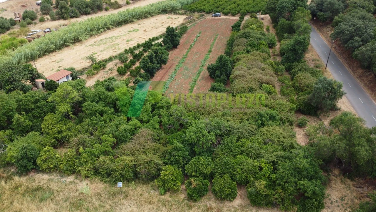 Terreno Agricola ou Rústico para Venda em Silves Foto 7