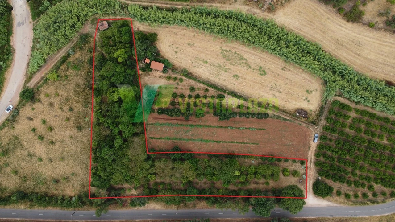 Terreno Agricola ou Rústico para Venda em Silves Foto 17