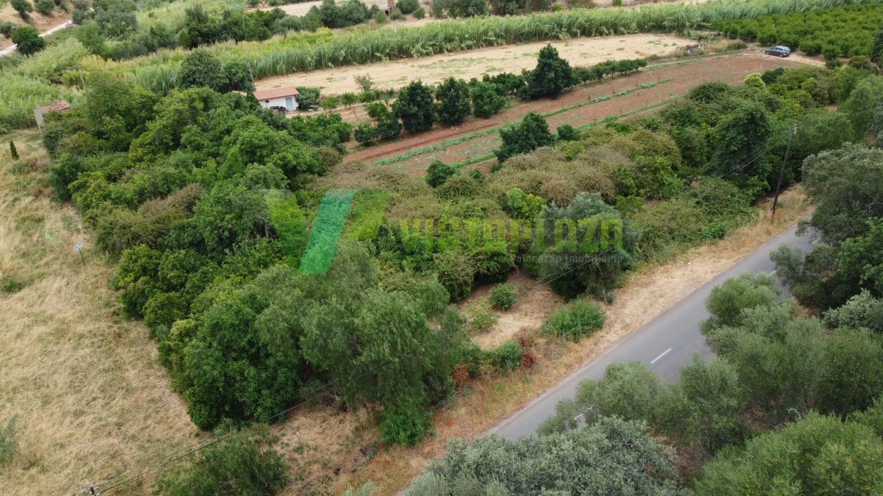 Terreno Agricola ou Rústico para Venda em Silves Foto 20