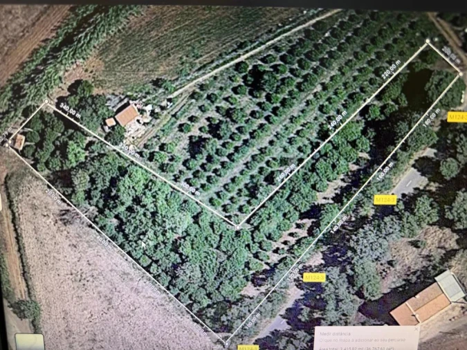 Terreno Agricola ou Rústico para Venda em Silves Planta 1