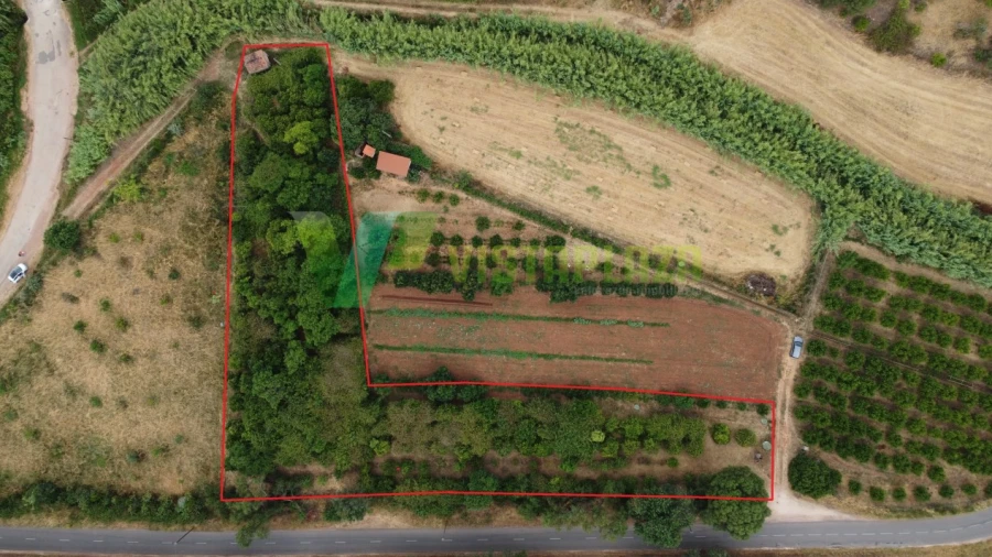 Terreno Agricola ou Rústico para Venda em Silves