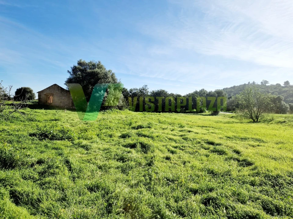 Terreno Misto para Venda em Bensafrim e Barão de São João Foto 3