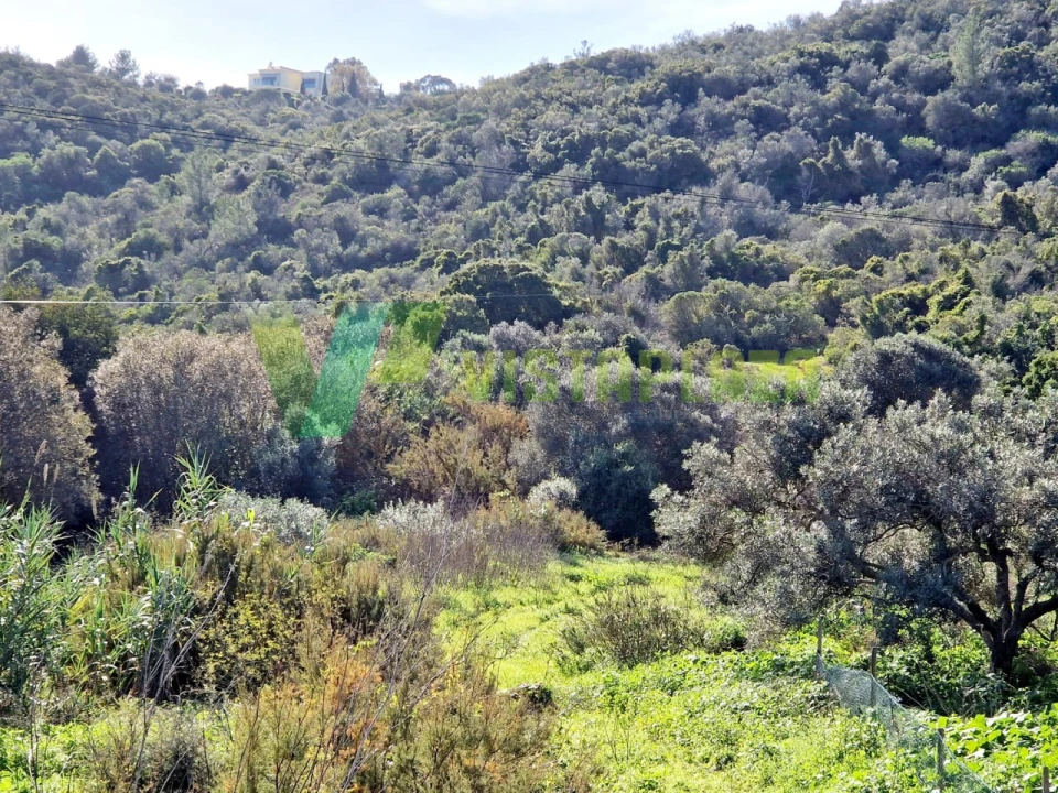 Terreno Misto para Venda em Bensafrim e Barão de São João Foto 12