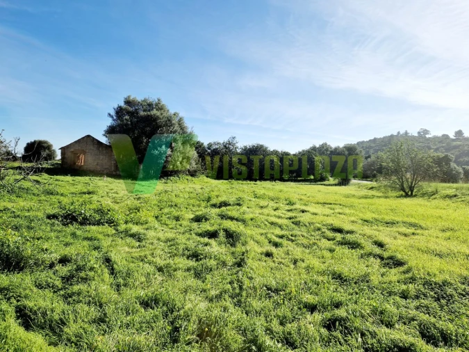 Terreno Misto para Venda em Bensafrim e Barão de São João Foto 3