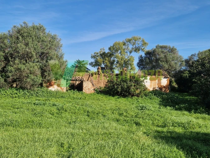Terreno Misto para Venda em Bensafrim e Barão de São João Foto 20