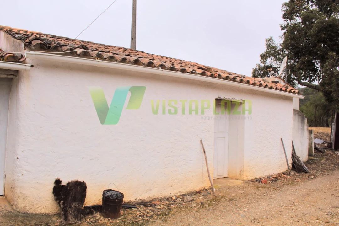 Quinta T3 para Venda em Monchique Foto 6