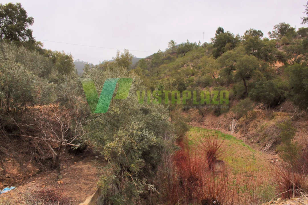 Quinta T3 para Venda em Monchique Foto 9