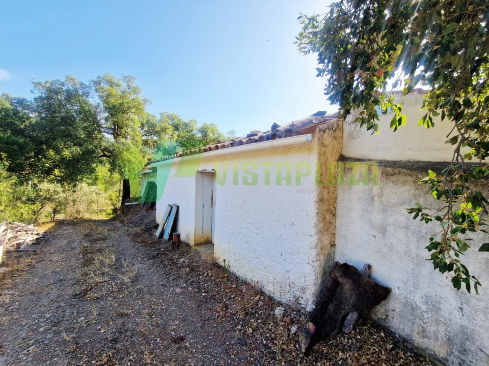 Quinta T3 para Venda em Monchique Foto 24