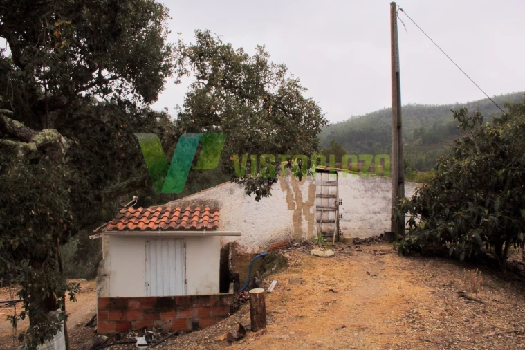 Quinta T3 para Venda em Monchique Foto 7