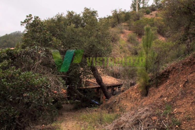 Quinta T3 para Venda em Monchique Foto 12