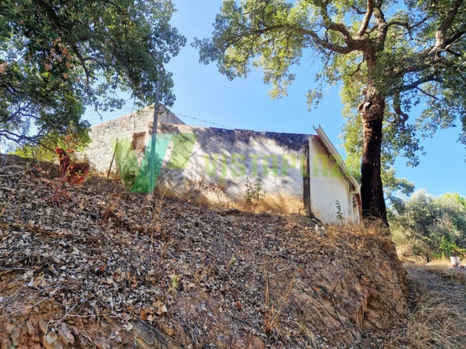 Quinta T3 para Venda em Monchique Foto 22