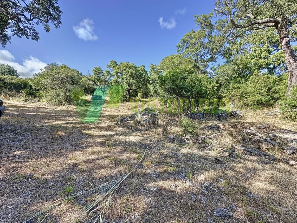 Quinta T3 para Venda em Monchique Foto 16