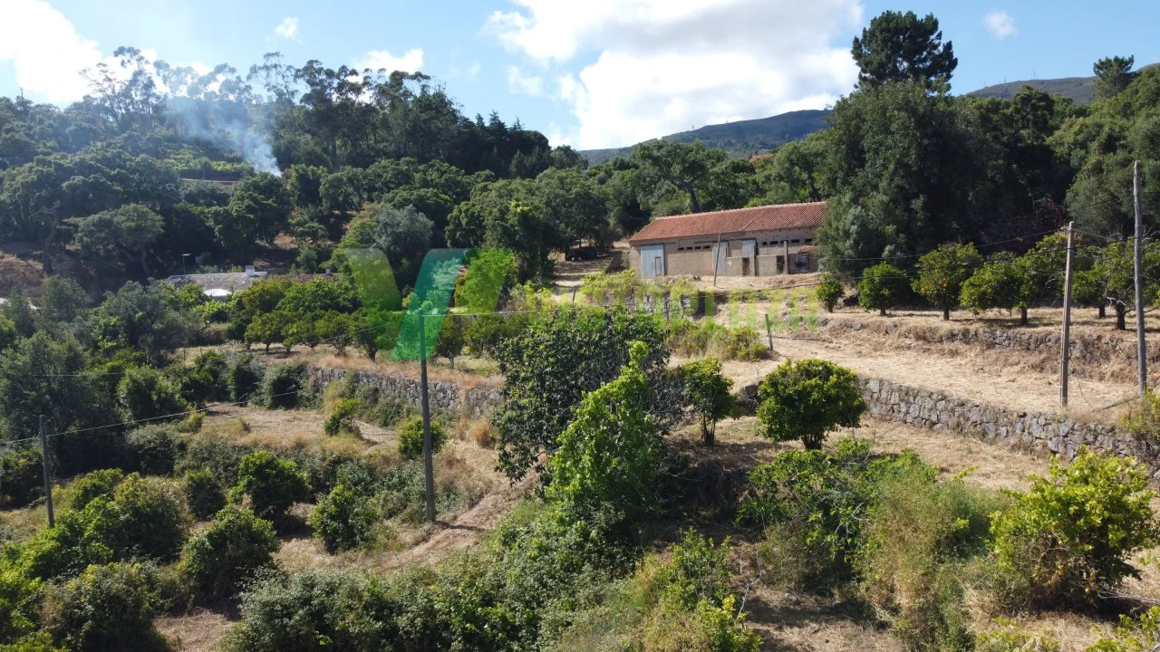 Quinta T3 para Venda em Monchique Foto 4