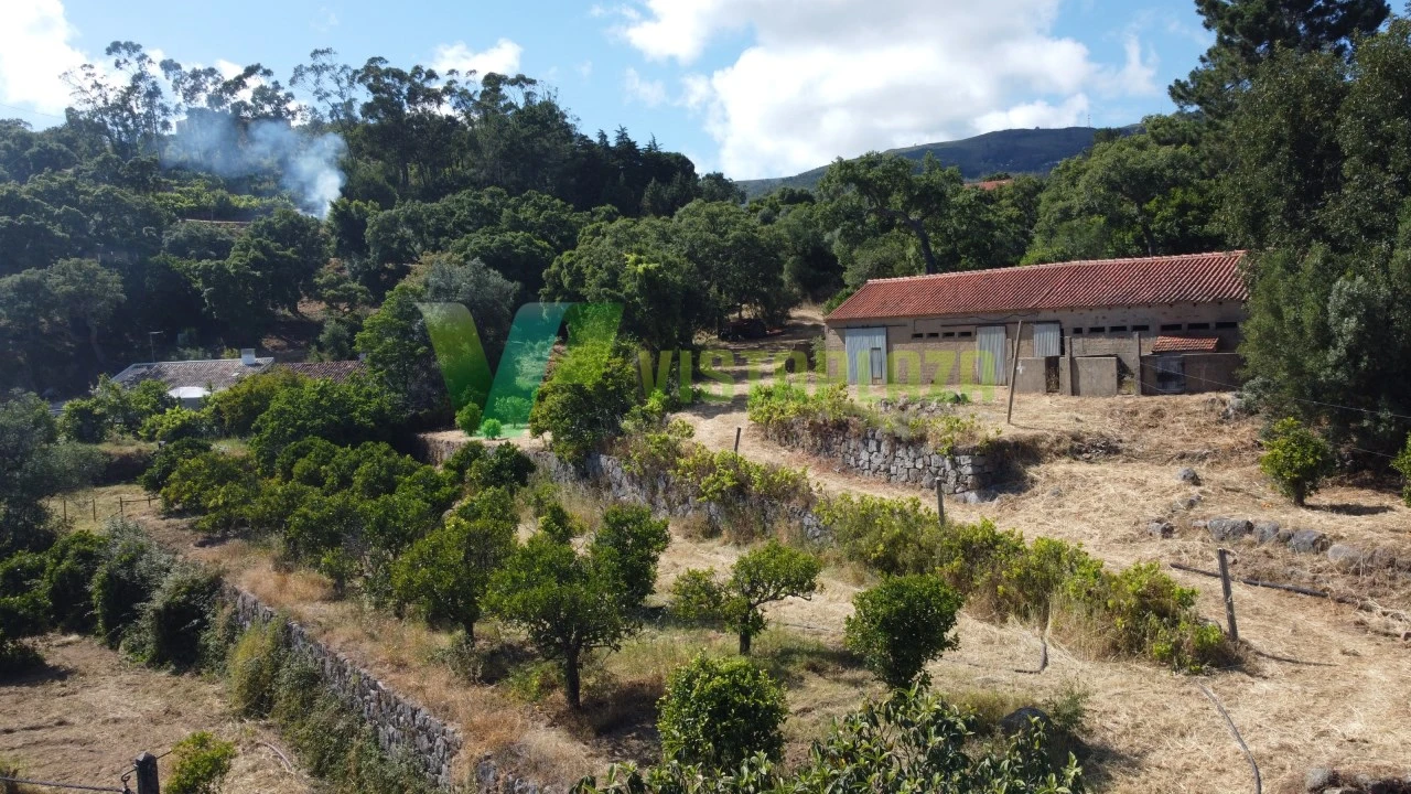 Quinta T3 para Venda em Monchique Foto 17