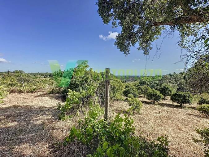 Quinta T3 para Venda em Monchique Foto 8