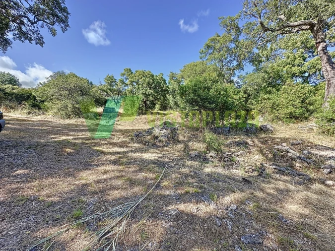 Quinta T3 para Venda em Monchique Foto 16