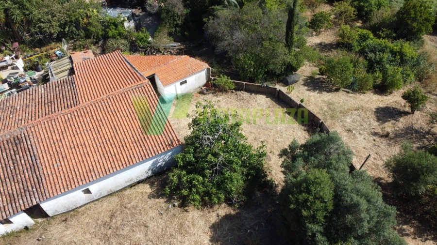 Quinta T3 para Venda em Monchique Foto 19