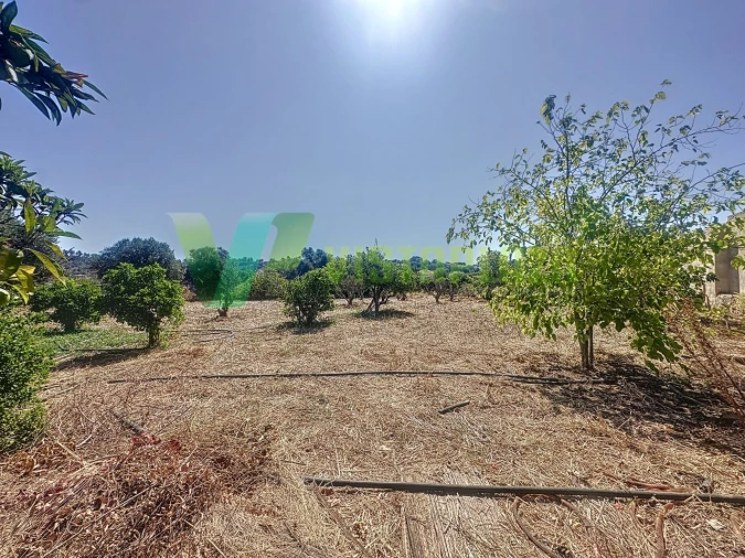 Moradia T4 para Venda em São Bartolomeu de Messines Foto 10