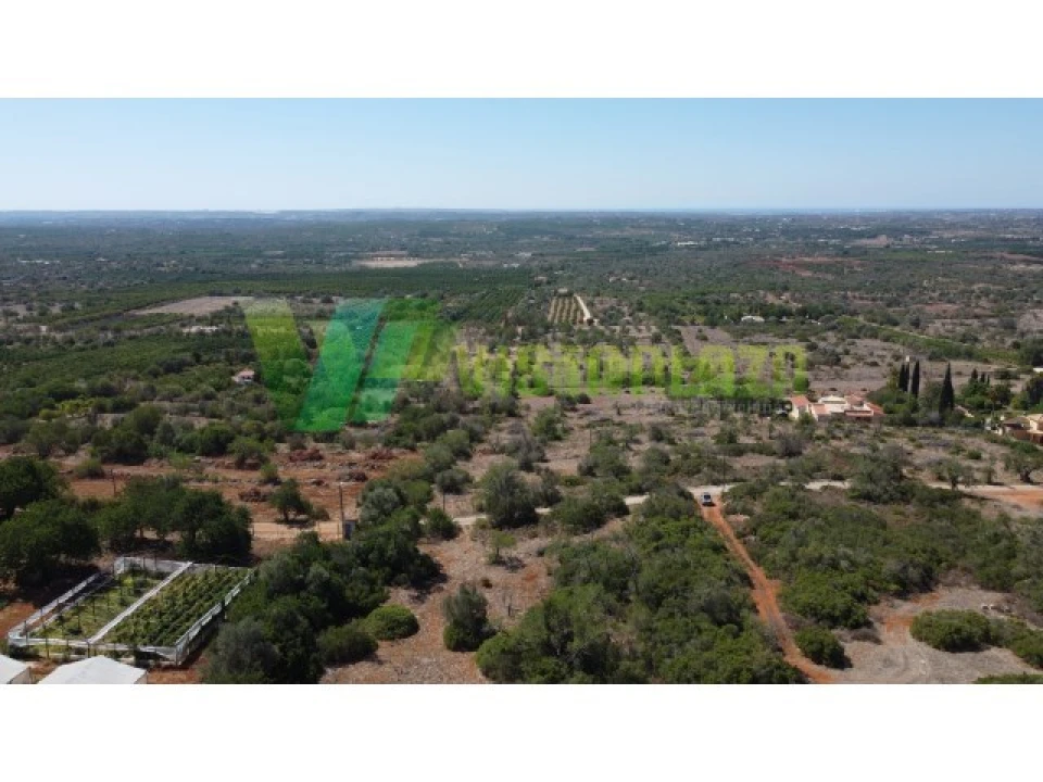 Terreno Agricola ou Rústico para Venda em São Bartolomeu de Messines Foto 8