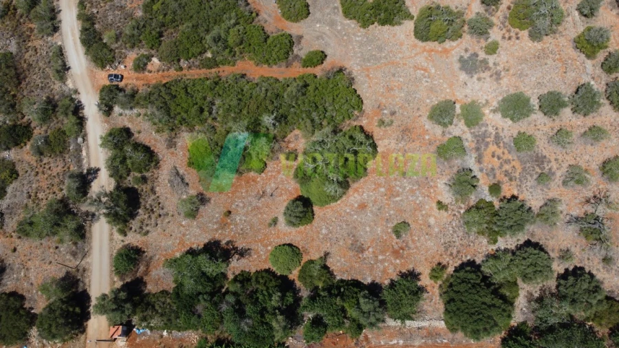 Terreno Agricola ou Rústico para Venda em São Bartolomeu de Messines Foto 3