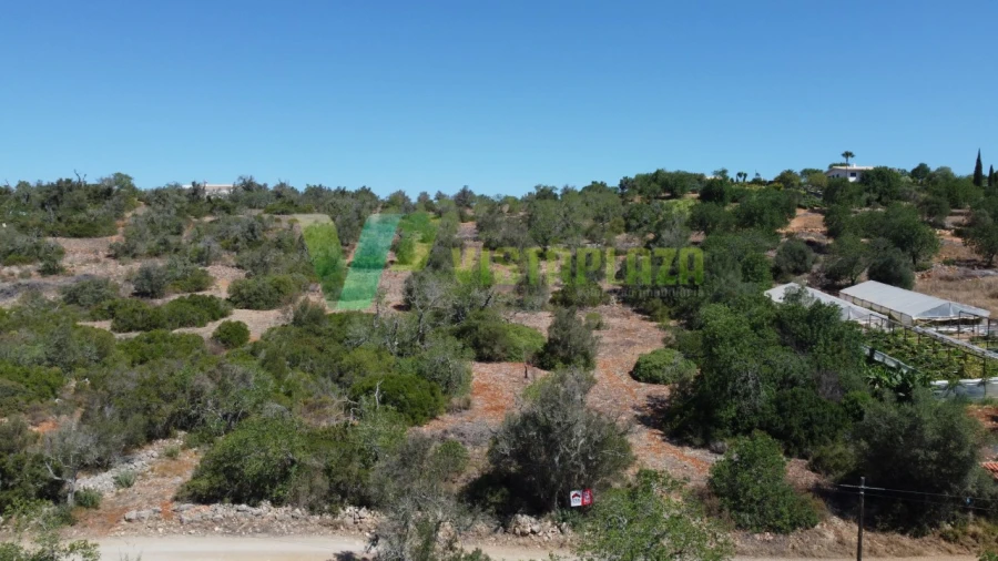Terreno Agricola ou Rústico para Venda em São Bartolomeu de Messines Foto 4