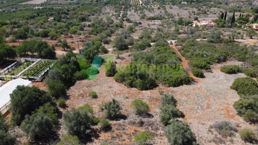 Terreno Agricola ou Rústico para Venda em São Bartolomeu de Messines