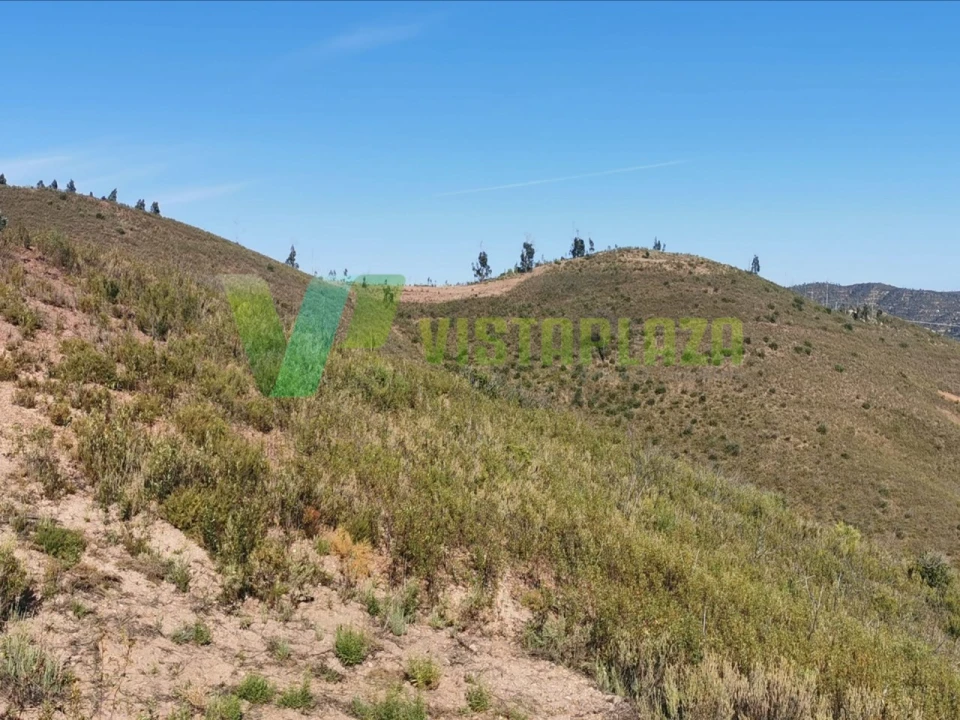 Terreno Agricola ou Rústico para Venda em Alferce Foto 8