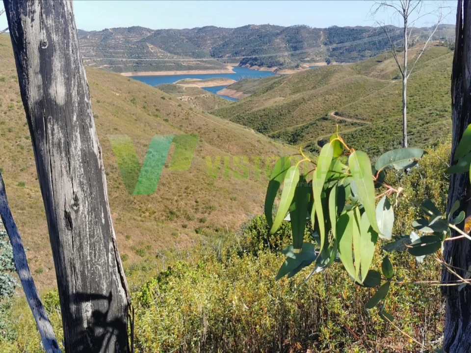 Terreno Agricola ou Rústico para Venda em Alferce Foto 10