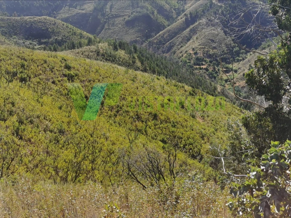 Terreno Agricola ou Rústico para Venda em Alferce Foto 11