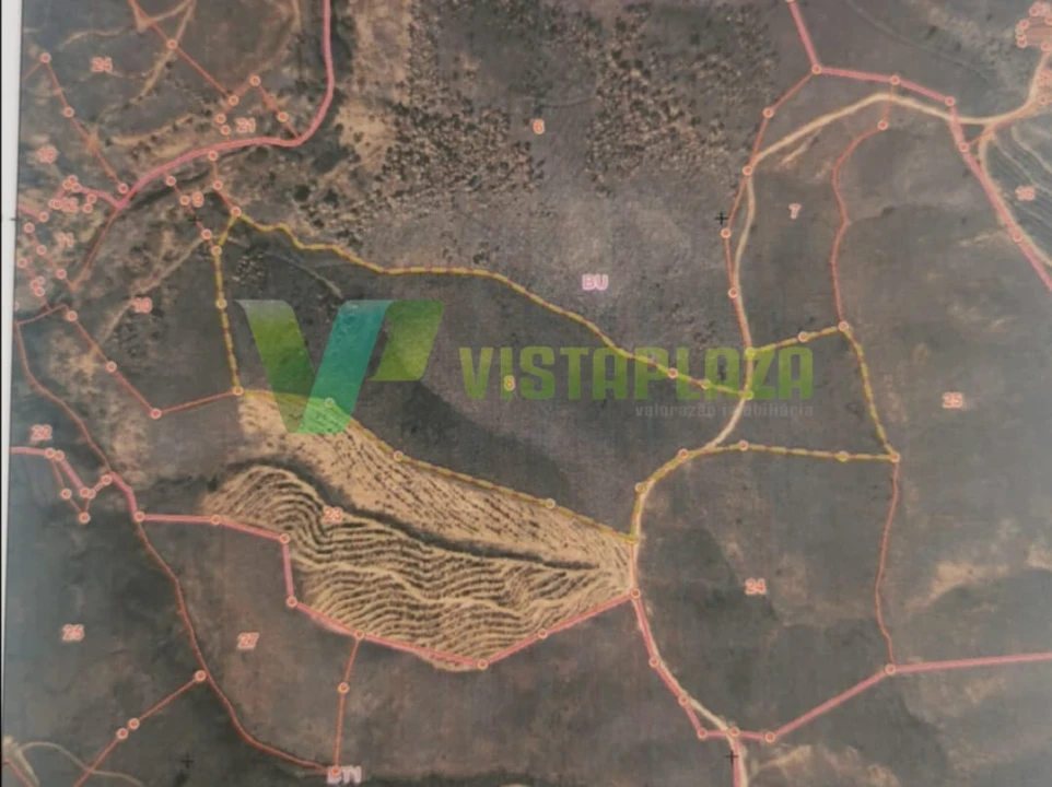 Terreno Agricola ou Rústico para Venda em Alferce Foto 12