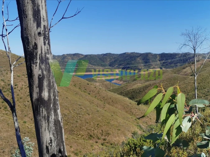 Terreno Agricola ou Rústico para Venda em Alferce