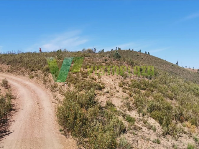 Terreno Agricola ou Rústico para Venda em Alferce Foto 7